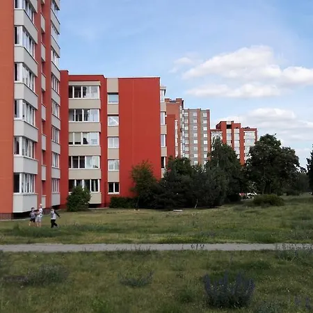 Sunny Near The Park